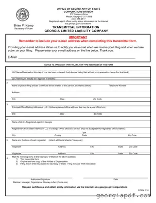 Download Georgia 231 Form