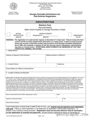 Download Georgia S100 Form